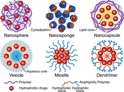 Progress of polymer-based strategies in fungal disease management: Designed for different roles